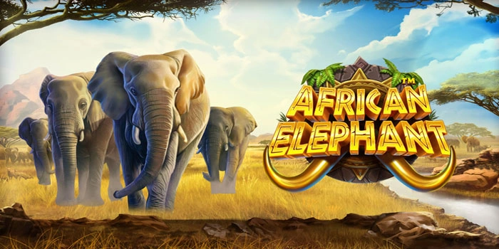 Cara Memahami Permainan Slot Africa Elephant Dengan Benar